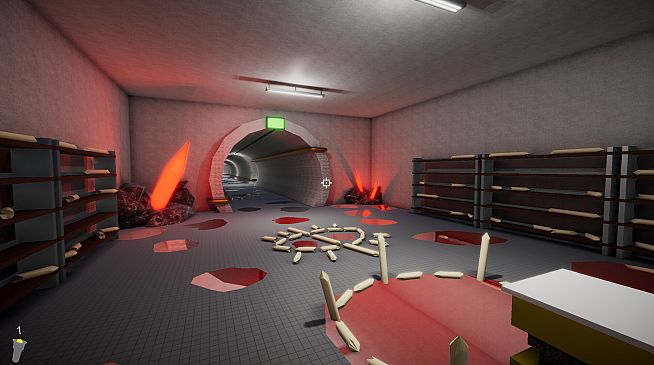 Just an Ordinary Maintenance Check