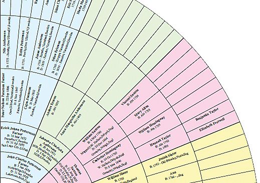 Family Tree Heritage Platinum 9