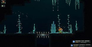 Wilderwake