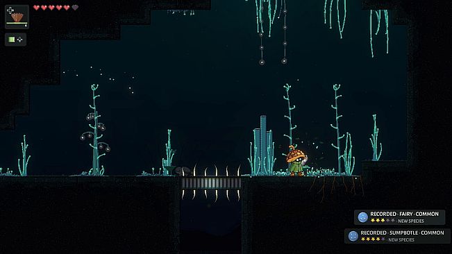 Wilderwake