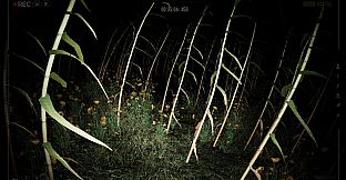 POMBERO: The Lord of the Night