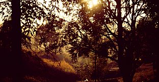 Dreamhouse: The Game