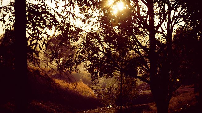 Dreamhouse: The Game