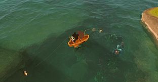 Paddle Cats