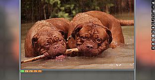 Jigsaw Puzzle Pack - Pixel Puzzles Ultimate: Dogs