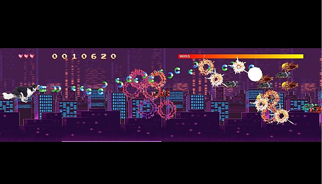 BorderCollie Blaster