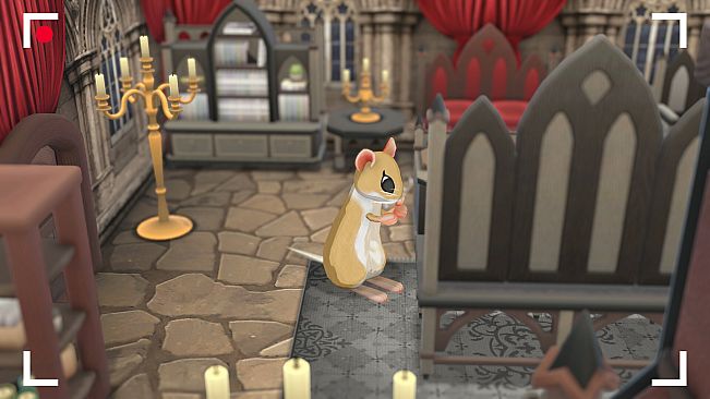 Squeakross: Home Squeak Home