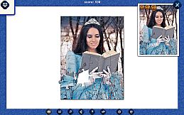 1001 Jigsaw. Ice Age