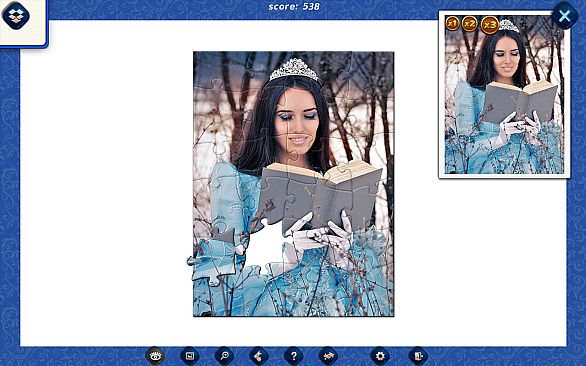 1001 Jigsaw. Ice Age