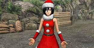 Additional Costume Set: Christmas Outfit