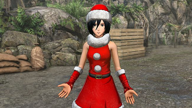 Additional Costume Set: Christmas Outfit