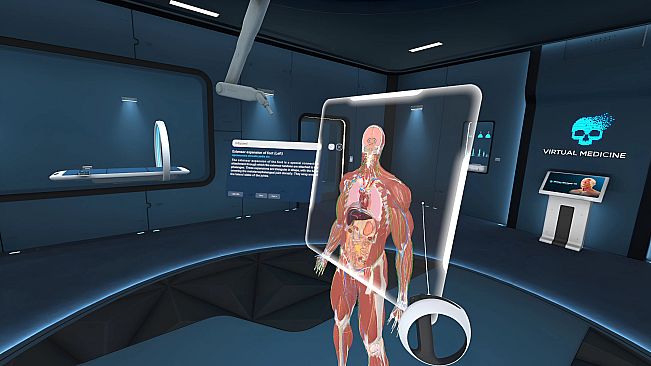 Human Anatomy VR