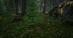 Mushroom Hunter Simulator