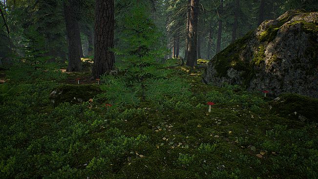Mushroom Hunter Simulator