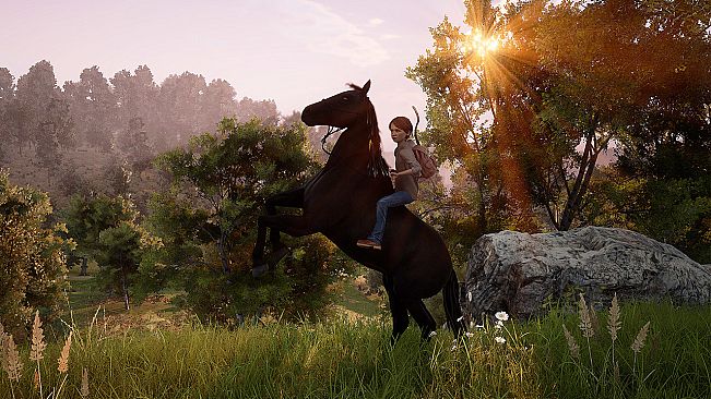 Windstorm: An Unexpected Arrival