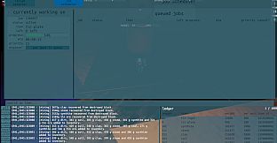 plexum
