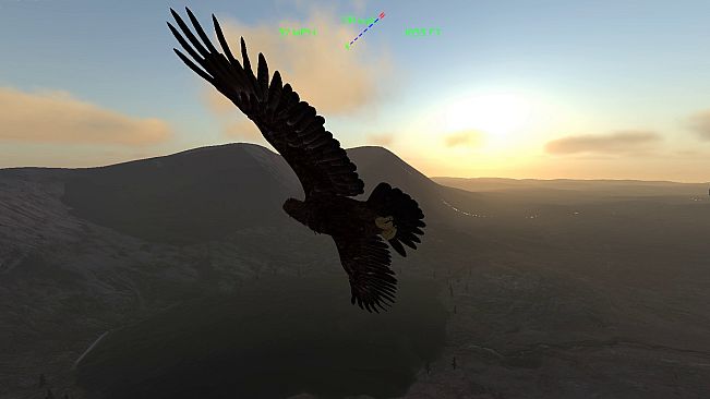 Aquila Bird Flight Simulator