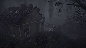 The Dead Tree of Ranchiuna