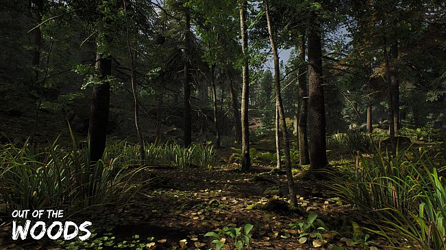 Out of the Woods