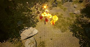 Shades of Rayna - Outlaw Class