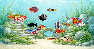 Aquarium Days