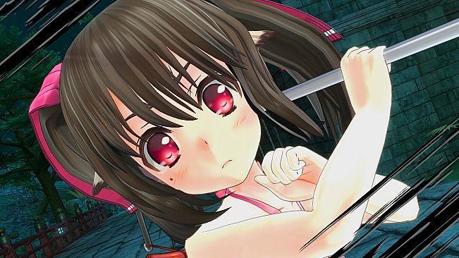 Utawarerumono: ZAN 2 - DLC Beachwear: Nekone