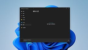 Salt Player for Windows