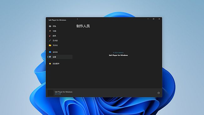 Salt Player for Windows