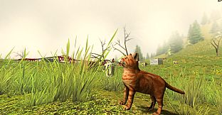 Crunch - Cats in the Meadow DLC