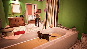 Cat Simulator - Kitty Conundrums