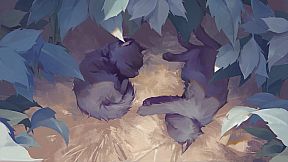 Blind - The Unseen Truth