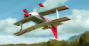 RealFlight Evolution - 2023 Year Content Pass