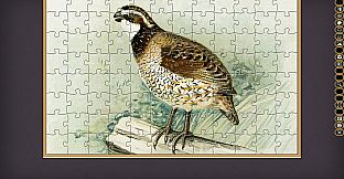 Jigsaw Puzzle Pack - Pixel Puzzles Ultimate: Variety Pack 8XS