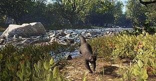 theHunter: Call of the Wild - Scotland Hunting Reserve