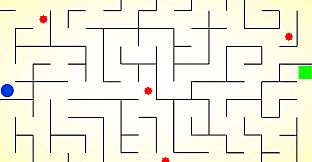 Chronomaze: Gravity Maze