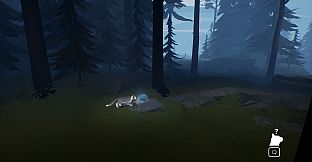 Seeking Home