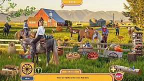 Amazing Weekend: Search and Relax Collector’s Edition