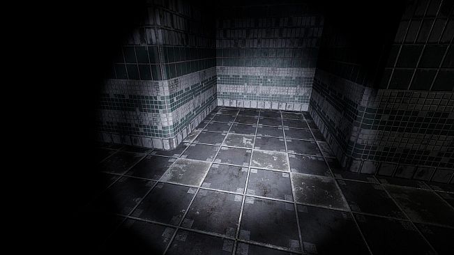 Backrooms: The Last Observer