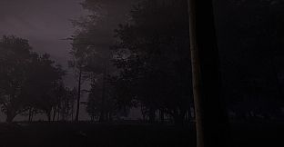 The Time Before Time