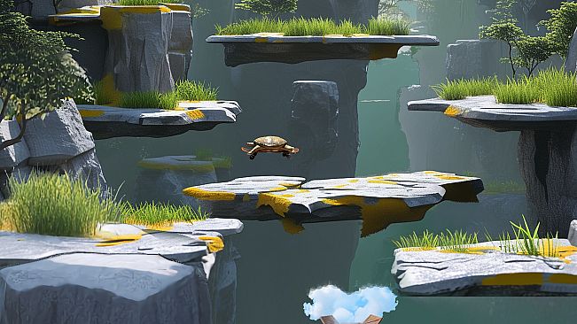 Turtle Up
