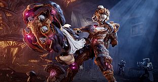 Warframe: Nokko Bundle