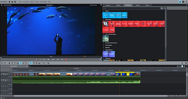 Movie Studio 2023 Platinum Steam Edition