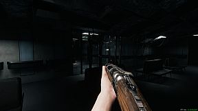 The Mirror Dimension