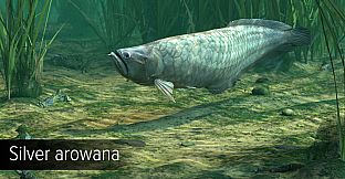 Ultimate Fishing Simulator - Amazon River DLC