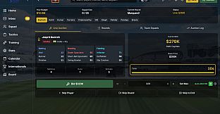 Cricket Manager