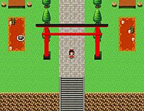 Reimu's Weird little adventure