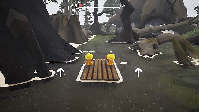River Drift