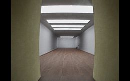 BACKROOMS THE COMPANY