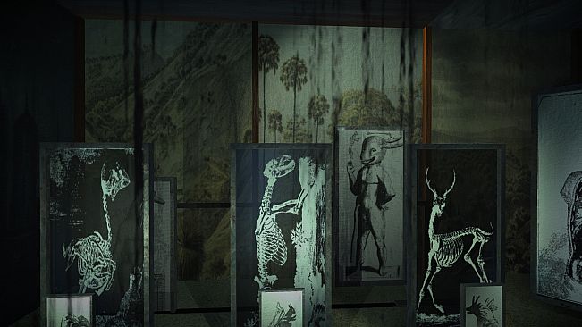 The Shape On The Ground (Steam Edition)