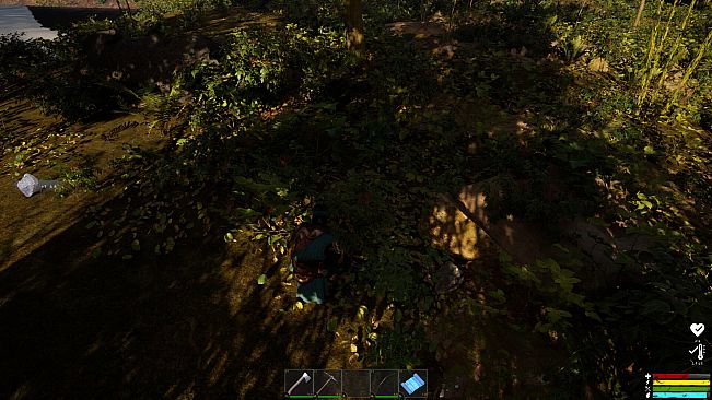 The Memory In Walden Pond